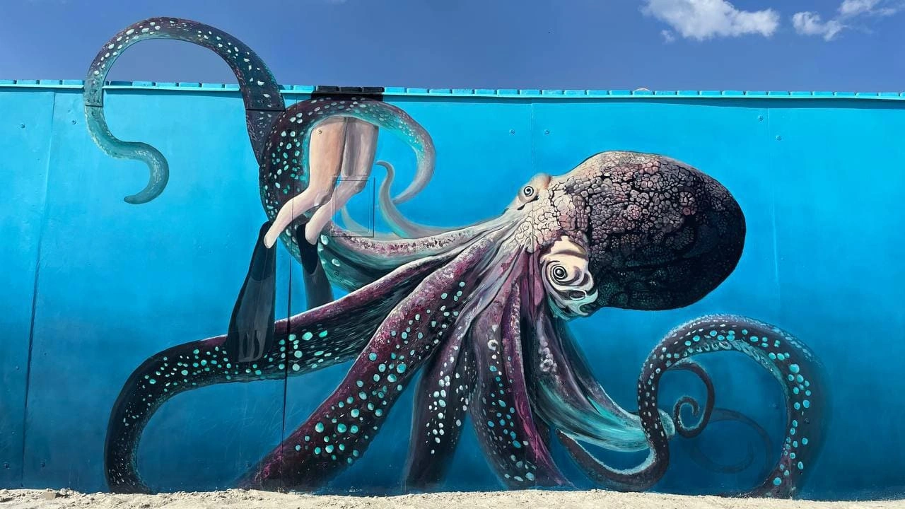 0v4mn0hxyft4wms1egsn5lcpz7fuyw4j.jpeg 0v4mn0hxyft4wms1egsn5lcpz7fuyw4j.jpeg