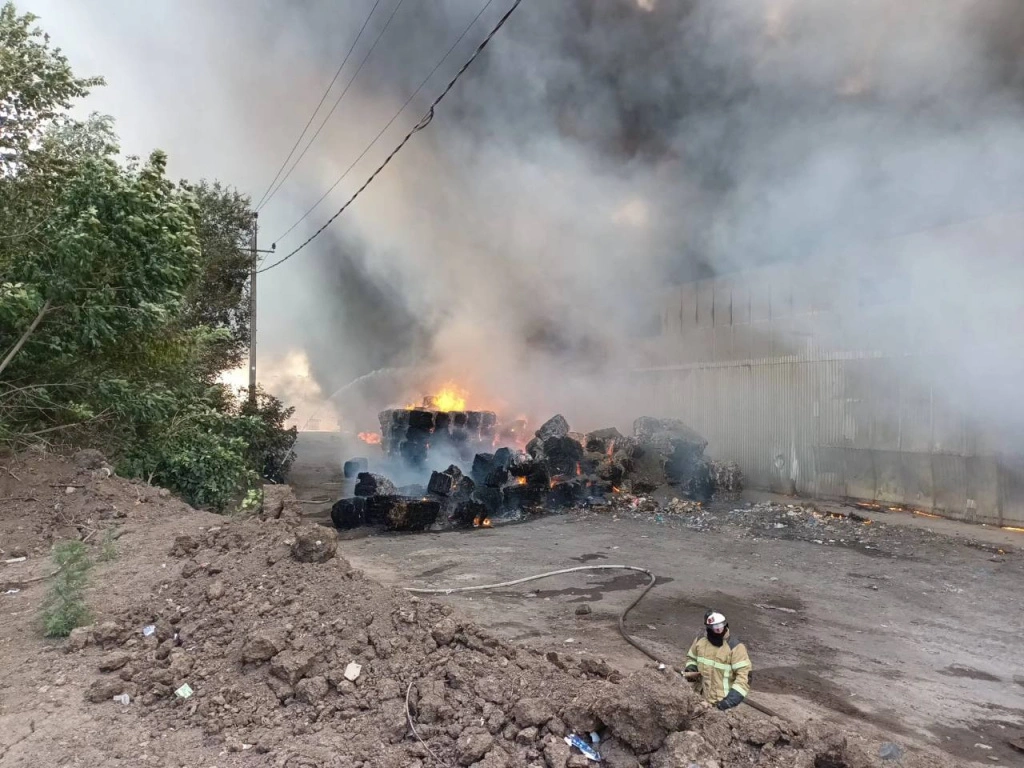 photo_5271637091425576416_y.jpg photo_5271637091425576416_y.jpg