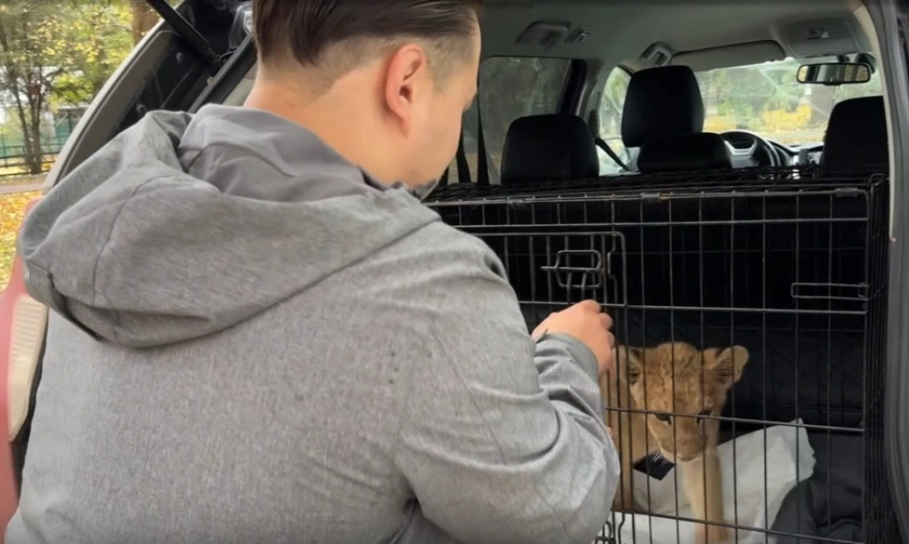 WhatsApp Image 2024-11-07 at 15.48.11 (1) (1).jpeg WhatsApp Image 2024-11-07 at 15.48.11 (1) (1).jpeg