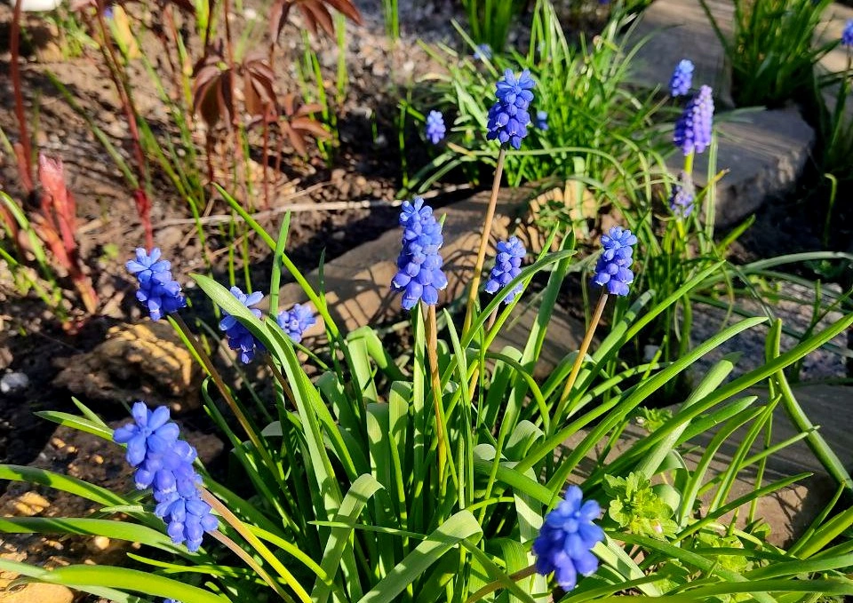 ea835095-5e0d-428b-a28d-b4dd9305086e (1).jpeg ea835095-5e0d-428b-a28d-b4dd9305086e (1).jpeg