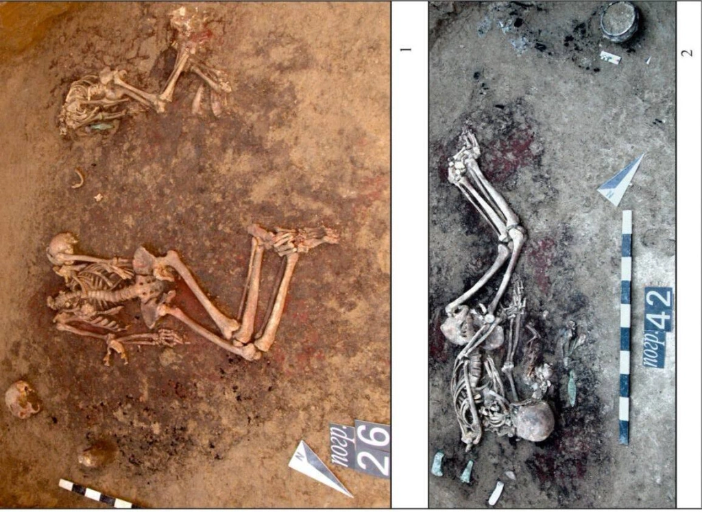 юфу4 (1).jpg юфу4 (1).jpg