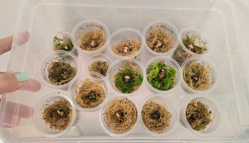 5417854043222568255.jpg 5417854043222568255.jpg