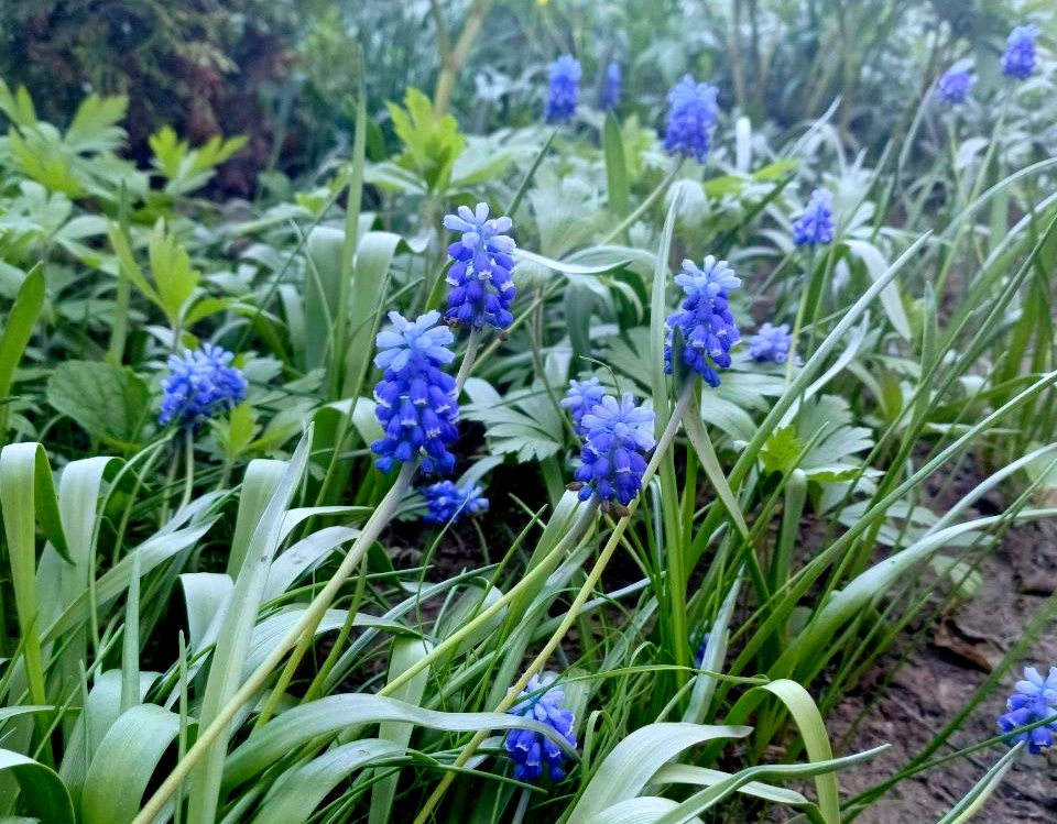 5192962696541239290 (1).jpg 5192962696541239290 (1).jpg