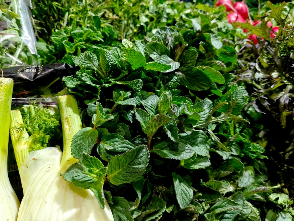 IMG20250327094900 (1).jpg IMG20250327094900 (1).jpg