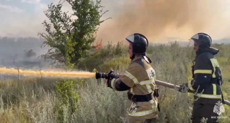 травуТушат.jpg травуТушат.jpg