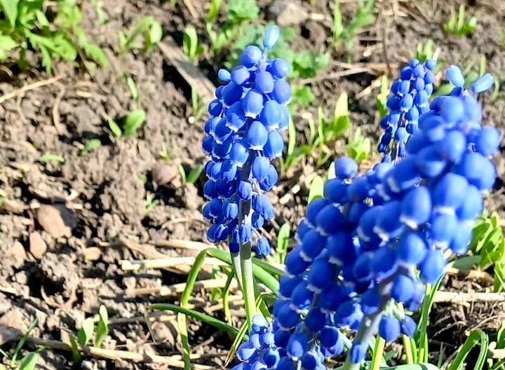 6ceddfda-510b-4318-92d4-768757d4c633.jpg 6ceddfda-510b-4318-92d4-768757d4c633.jpg