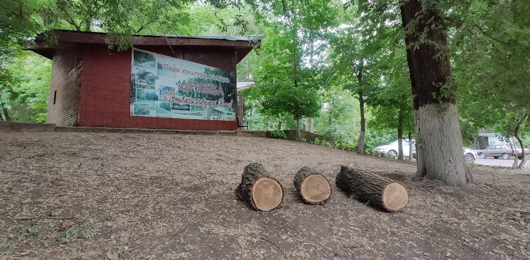 
                     Парку «Дружба» в Ростове грозит ещё одна массовая вырубка деревьев 
                