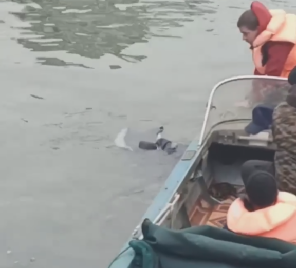 В Ростове мужчина упал с Ворошиловского моста и погиб