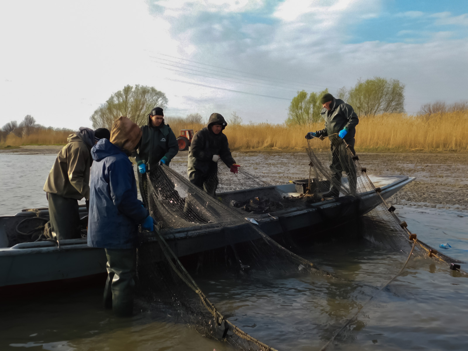 Ученые предлагают сократить перечень разрешённых орудий лова в  Азовском море