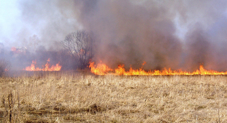 Фото: В МЧС предупредили о чрезвычайной пожарной опасности в Ростове и области, фото из публикаций 1rnd
