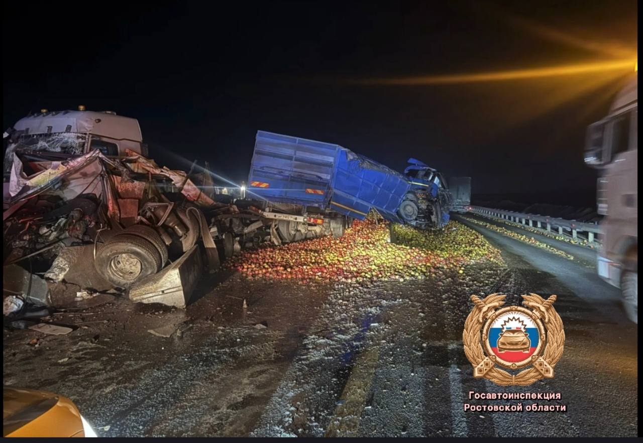 ДТП на трассе М-4 «Дон» заблокировало движение в сторону Москвы