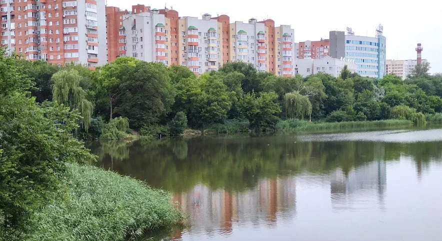 Фото: холероподобная микрофлора в реке Темерник // фото из публикаций 1rnd