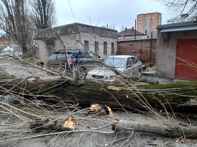 Фото: управление по делам ГО и ЧС Ростова