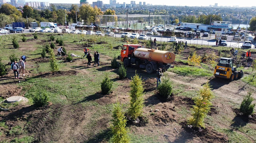 Фото:  В Ростове высадят более 3000 деревьев и кустарников в День древонасаждения // фото ТГ-канал А. Логвиненко