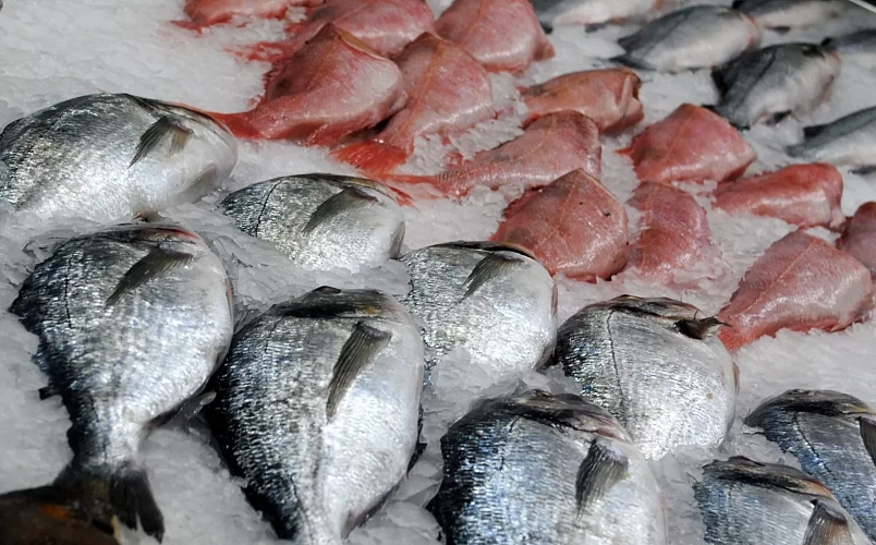 Морской язык: узнай все о жирной рыбе