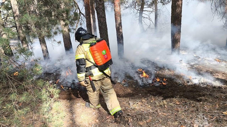 Фото: В Ростовской области более 6 часов тушили лесной пожар / фото: МЧС РО