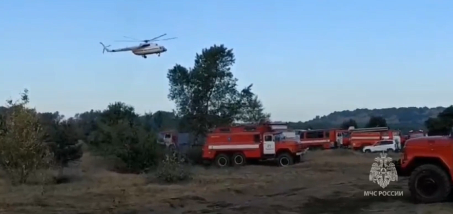 Фото: Группировка МЧС на месте лесного пожара, кадр МЧС