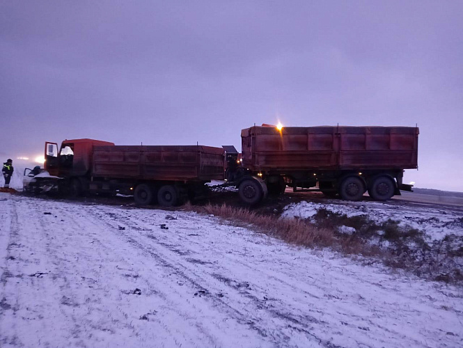 Фото: Госавтоинспекция Ростовской области