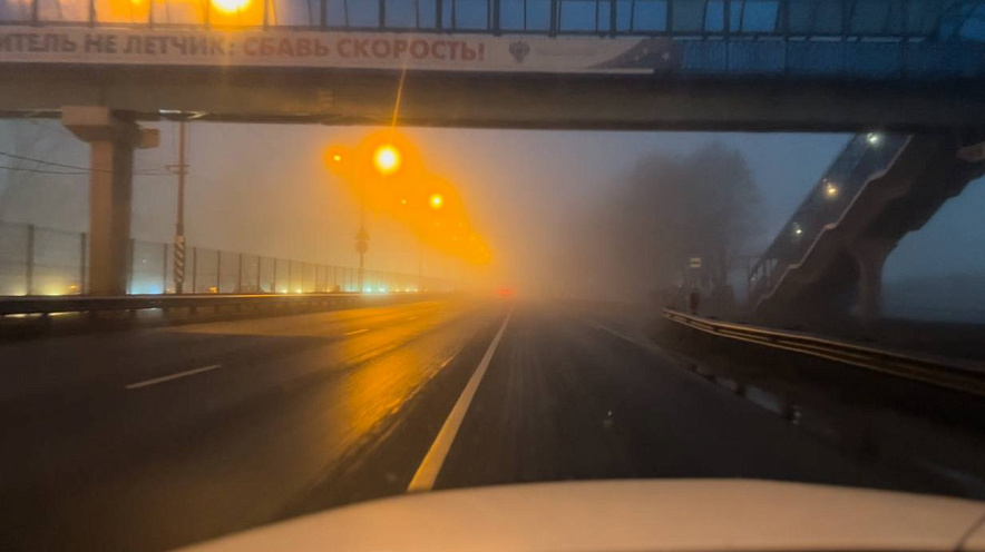 Фото: туман в Ростовской области, кадр ГАИ