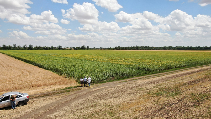 Фото: В Ростовской области исследуют 4 млн га почвы с помощью феромонных ловушек / кадр из соцсетей Россельхознадзора по РВАОиРК 