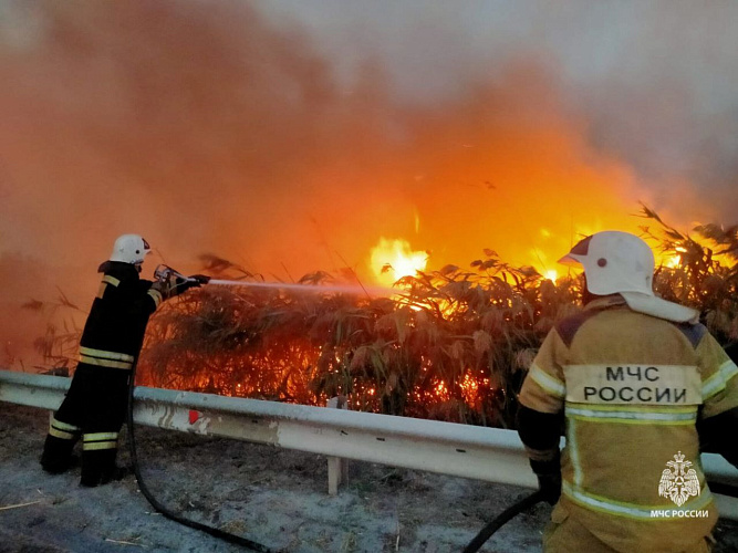 Фото: кадр тушения пожара в станице Романовской