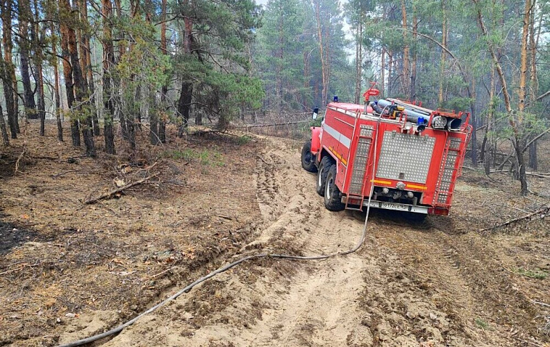 Фото: пожарный сезон завершён // кадр Минприроды РО